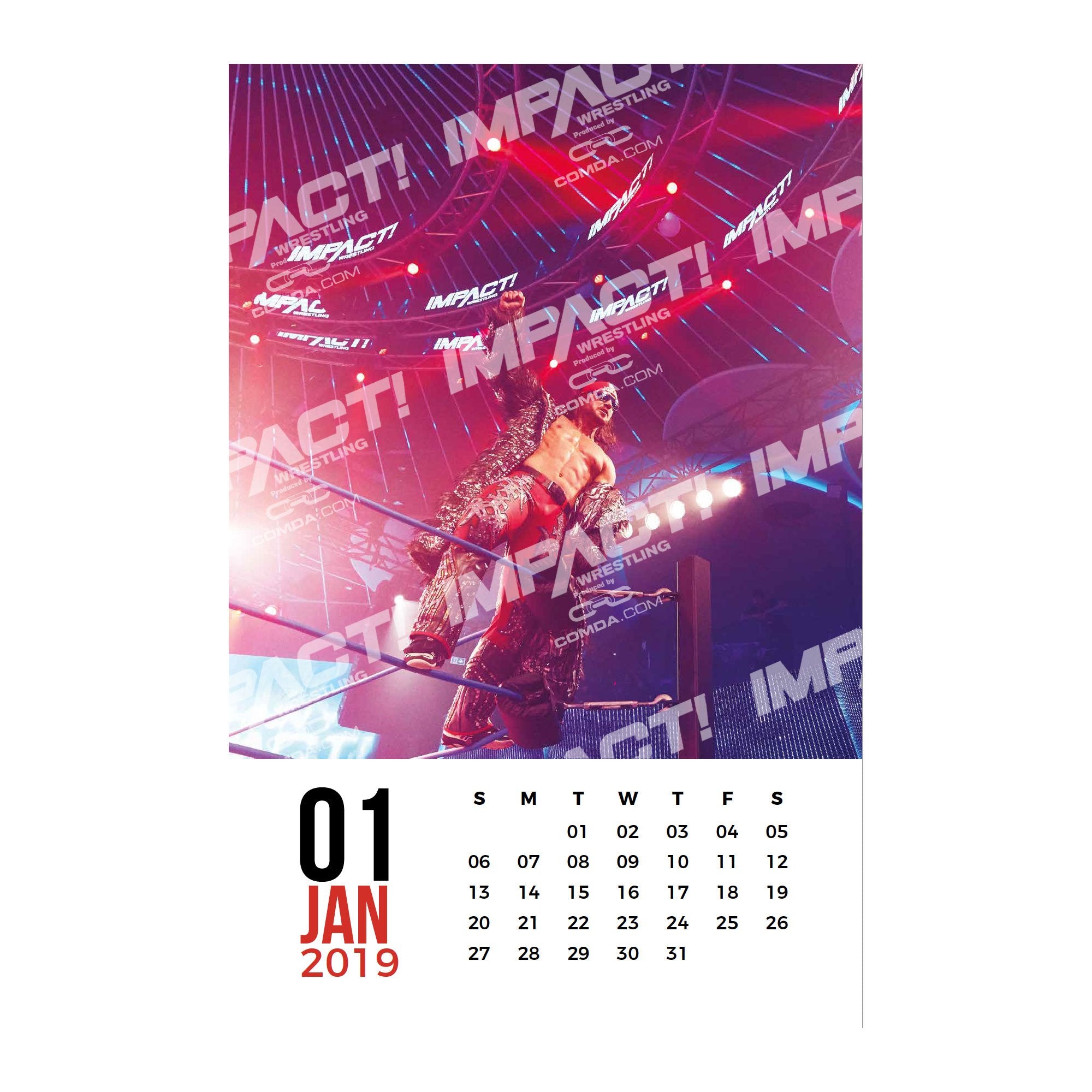Impact Wrestling 2019 13 month Calendar